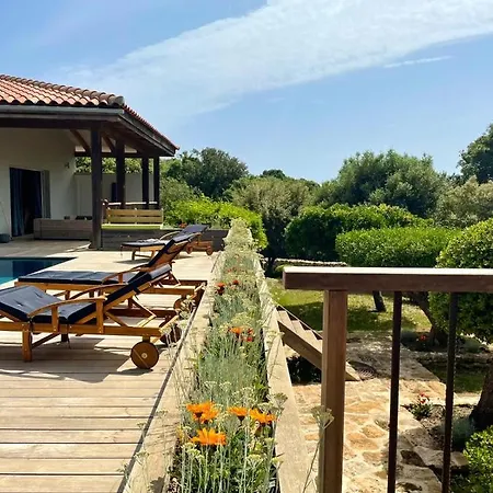 Alivu Belle Piscine Chauffee Vila