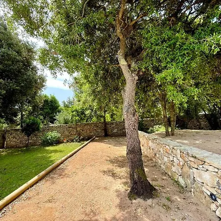 Alivu Belle Piscine Chauffee 보니파시오