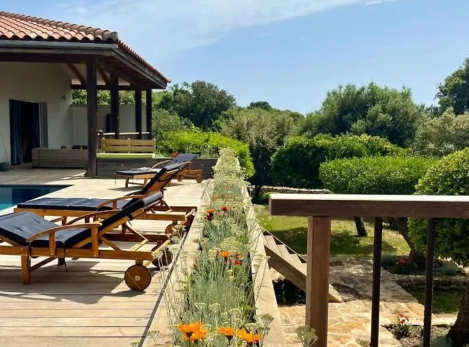 Alivu Belle Piscine Chauffee 别墅