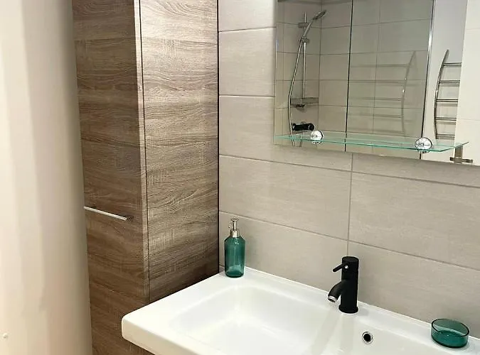 Alivu Belle Piscine Chauffee 别墅 博尼法乔