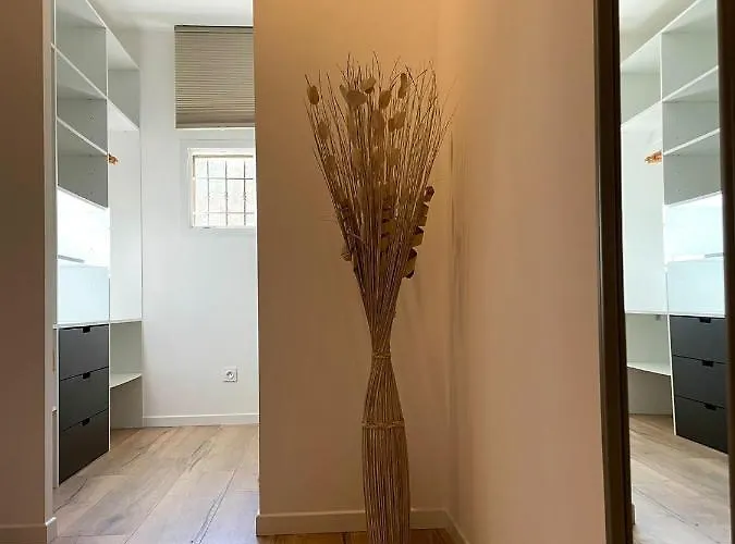 Alivu Belle Piscine Chauffee 博尼法乔