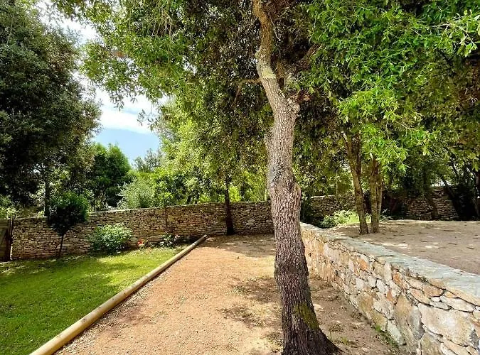 Alivu Belle Piscine Chauffee 博尼法乔