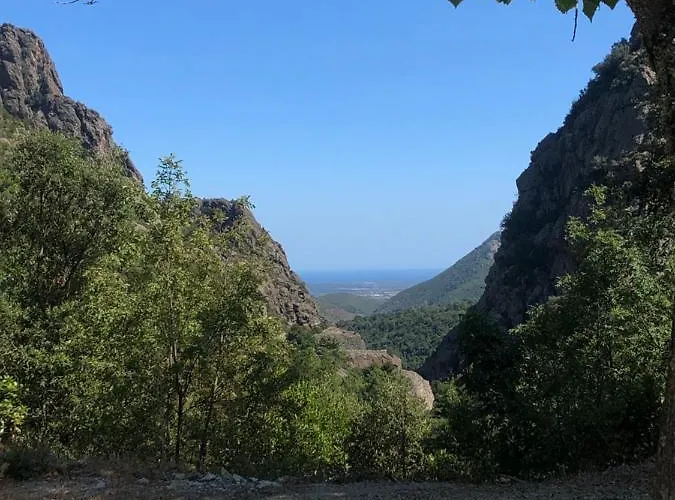 别墅 Alivu Belle Piscine Chauffee 博尼法乔