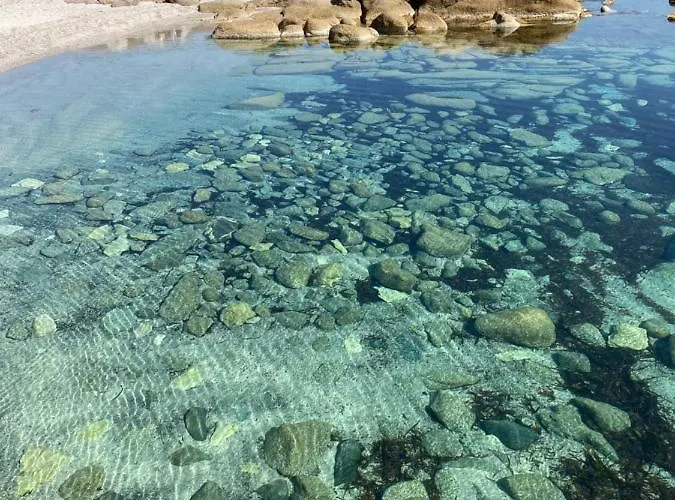 Alivu Belle Piscine Chauffee 别墅 *